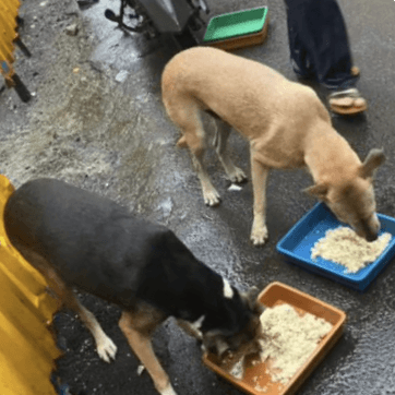 Community Service