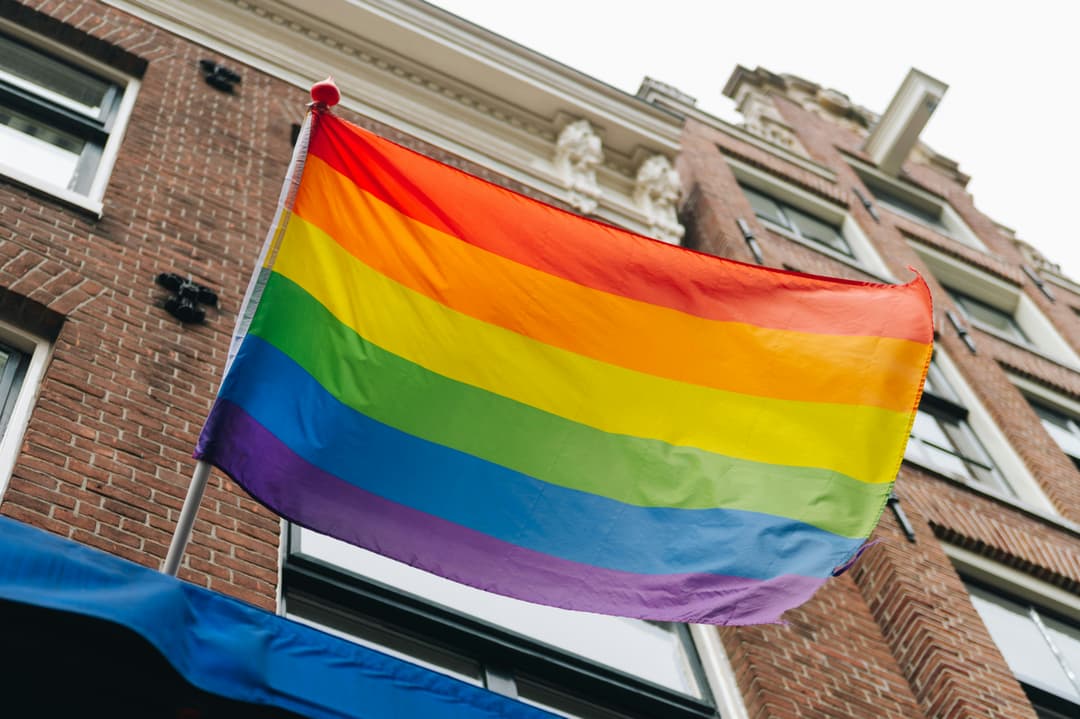 LGBTQIA+